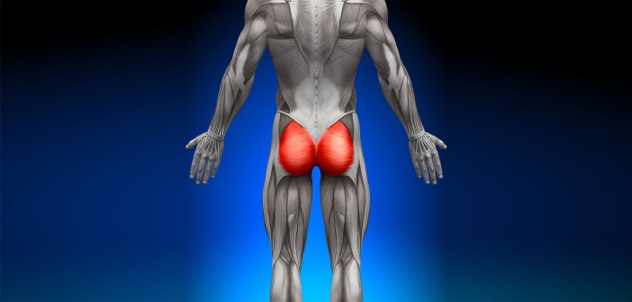 The Role of the Glutes in the Golf Swing - Golf Anatomy and Kinesiology